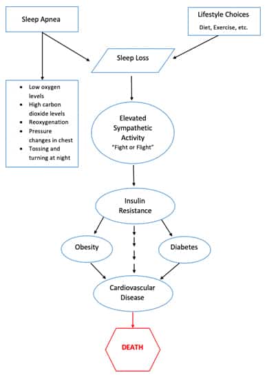 Sleep Loss and Insulin
